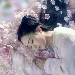 人生若只如初见