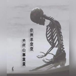 彩蝶飞飞