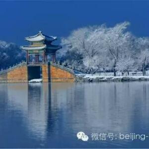 龙在九天