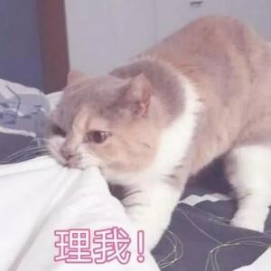 迷雾草莓酱