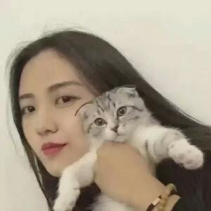 司鸿映梦