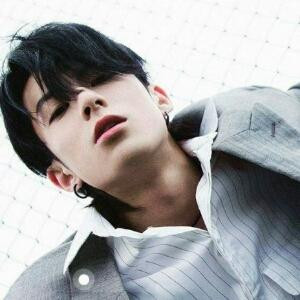 月下清风鹤棣来