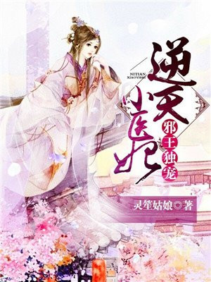 邪王独宠:逆天小医妃