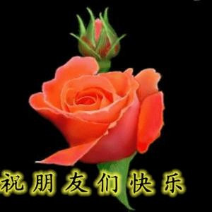 神算