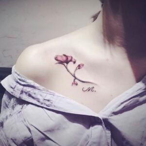 唯愿青春不蒙尘