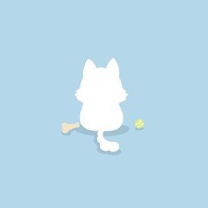 傻瓜