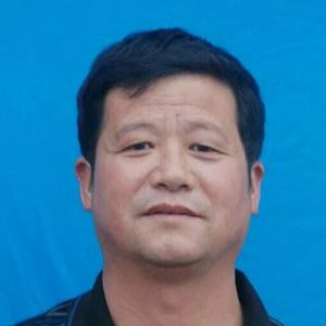 金老师