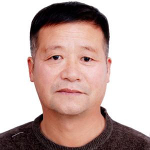 金老师