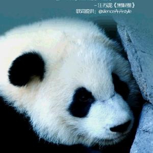阳光小熊