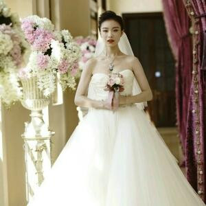 随风飘去的小强