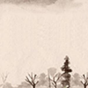 爱大虾1