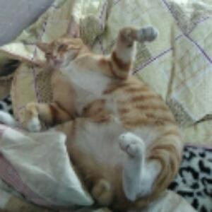 逗比的自我修养