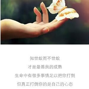 云淡风轻