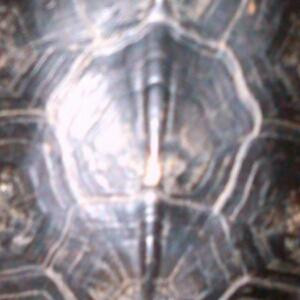 20140731