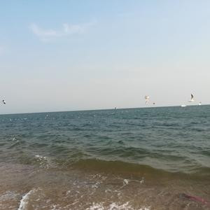 浪花