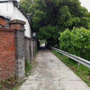 王持跃