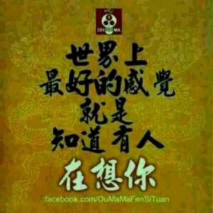 i217229982龙