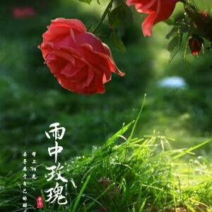 花慕雪