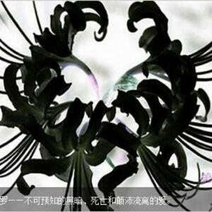黑夜