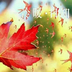 勿忘我