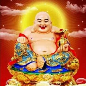 小象1
