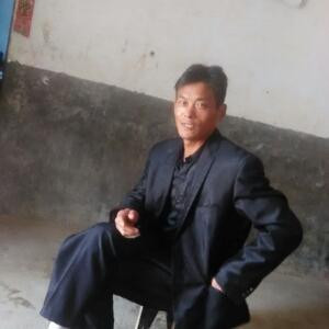 提咯好