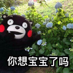 姐姐