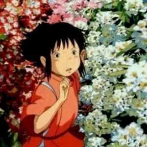 小白白