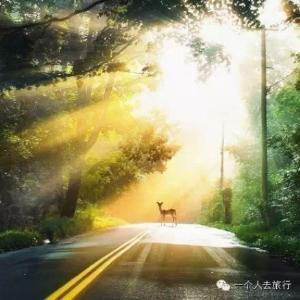 苍海