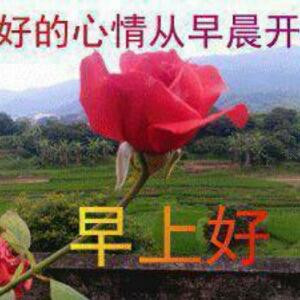 战心