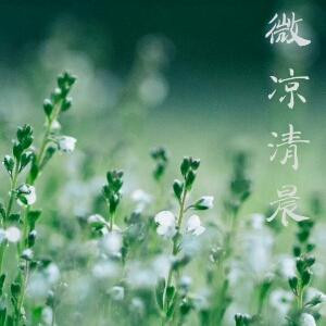 花樱