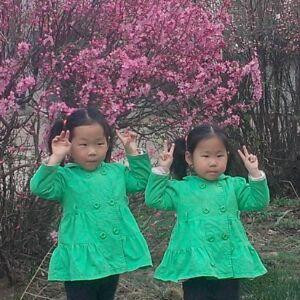 xinxin