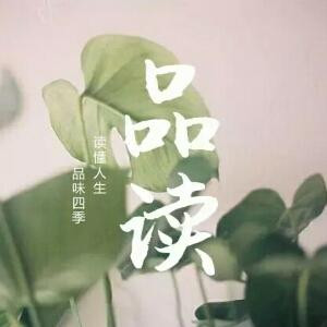 吱吱小熊猫