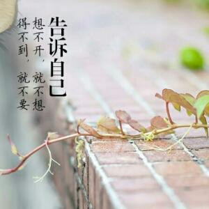 读书人