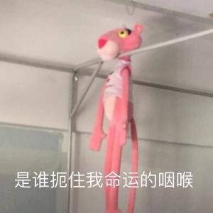 i531104636随意