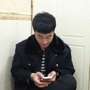 孤单的狼