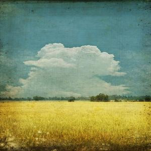 繁华尽头皆是伤