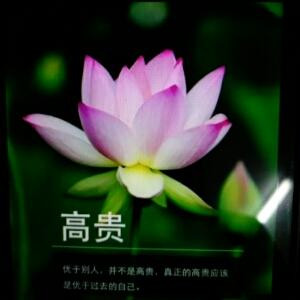 书迷