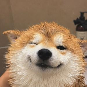夏安