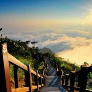 中汇文化