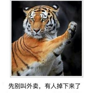 卡卡西