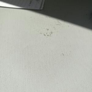 青春无敌