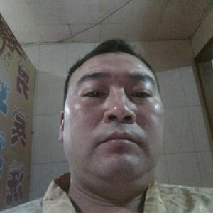 i86445435书虫人