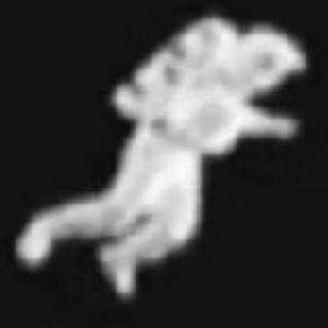泠溪
