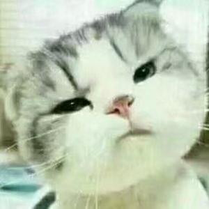 血泪