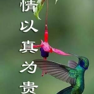 爱上幸福