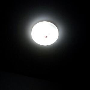 大鹏
