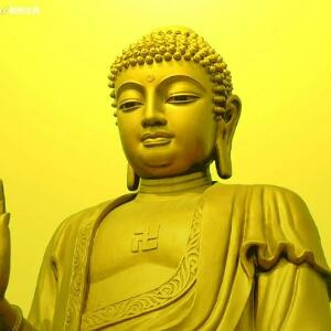龙赢天下
