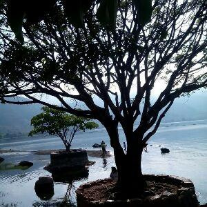 等流水