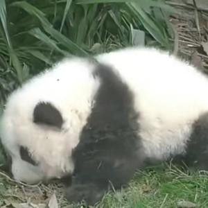 容让